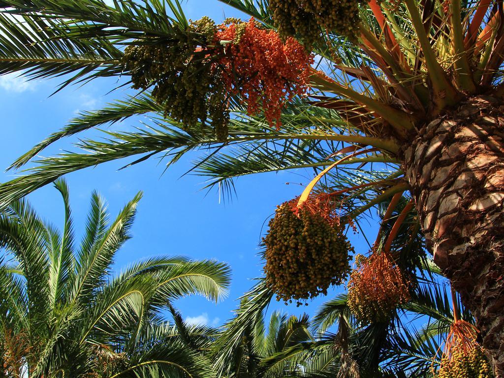 Finca Hotel Rural Predio Son Serra Can Picafort  Bagian luar foto